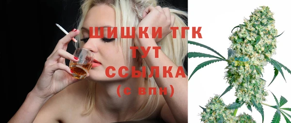 сатива Белоозёрский