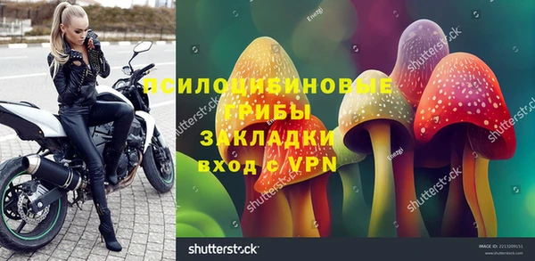 прущий лед Белокуриха