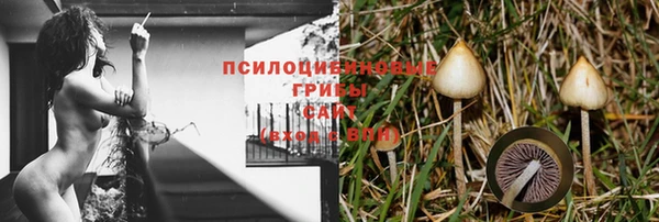 сатива Белоозёрский